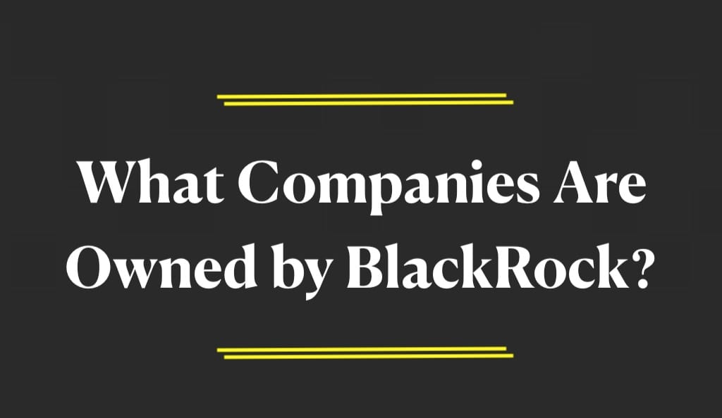 What Companies Are Owned by BlackRock?